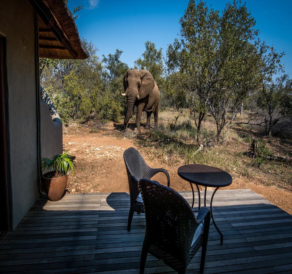 Вілла Garonga Safari Makalali Game Reserve Екстер'єр фото